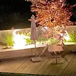 Laudinella -