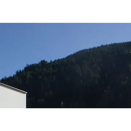 Laudinella - *
